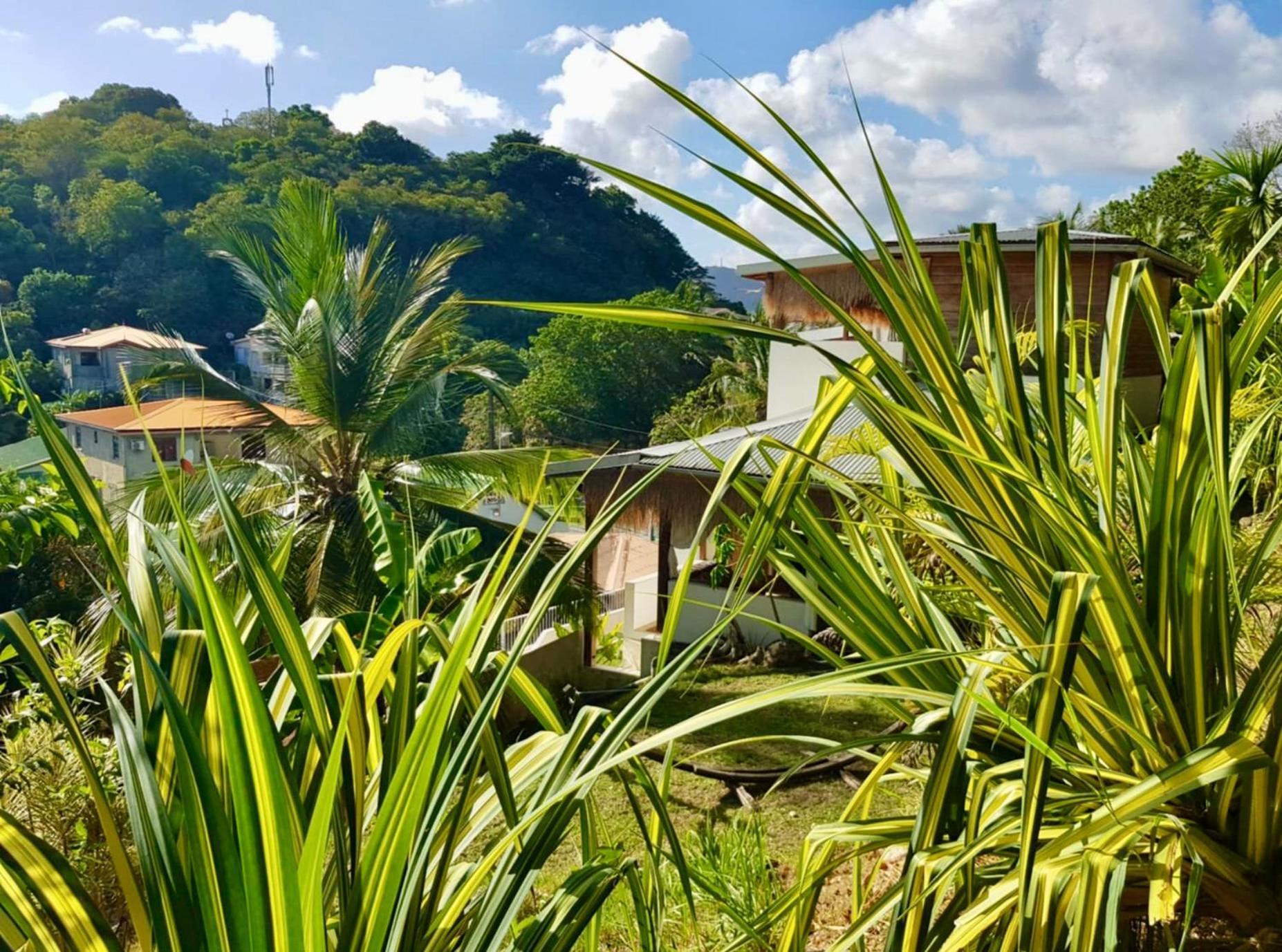 Cocotier, Elegant T3 Avec Jardin Tropical Apartamento Sainte-Anne Exterior foto